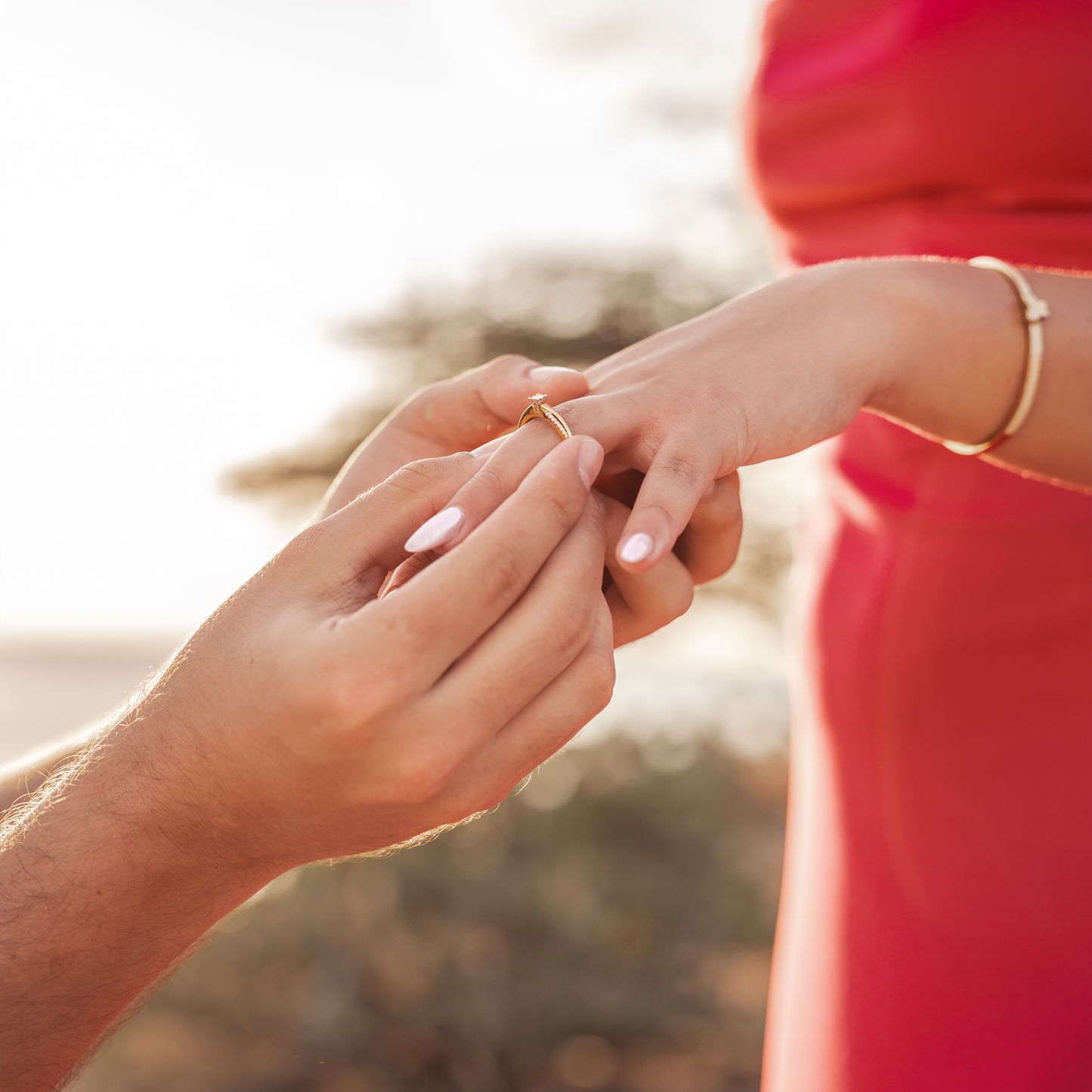 Proposal Photography