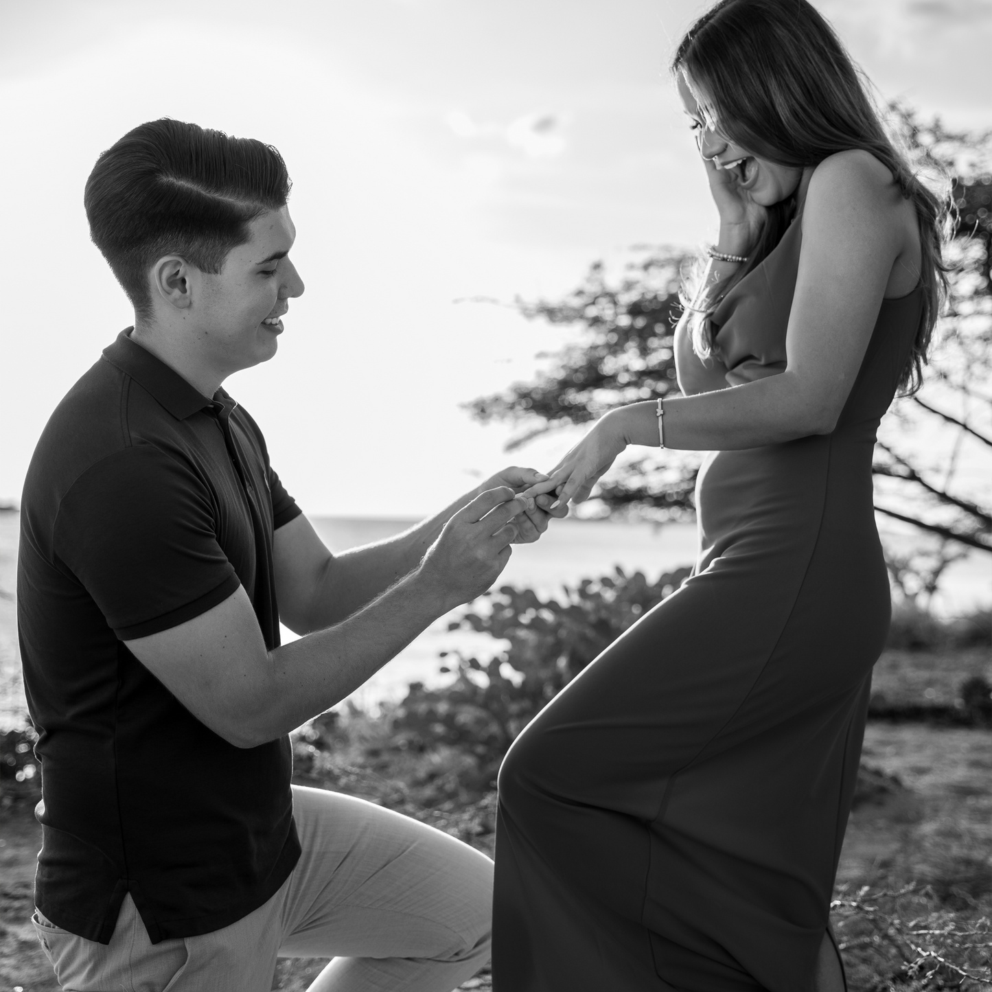 Proposal Photography