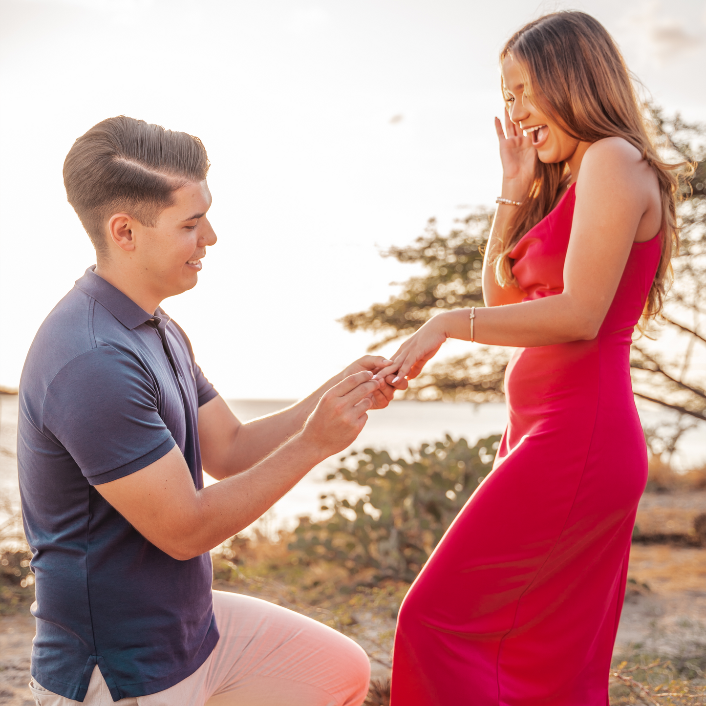 Proposal Photography