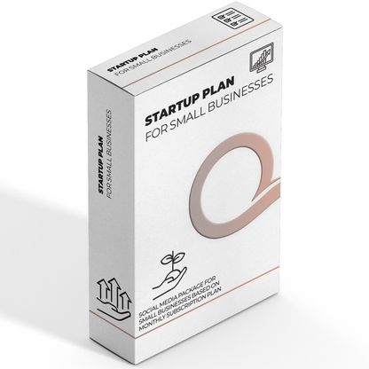 Startup Plan